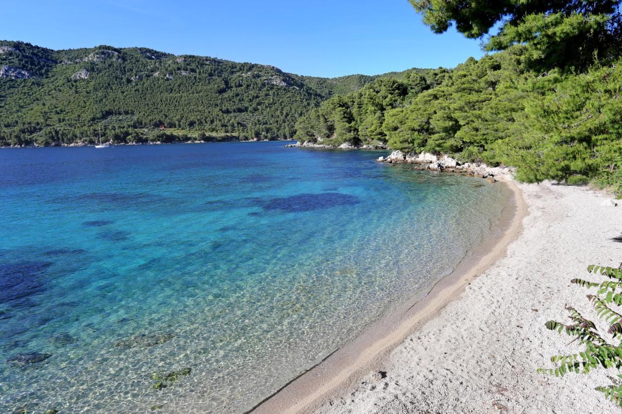Apartments With A Parking Space Zuljana, Peljesac - 4573 Luaran gambar